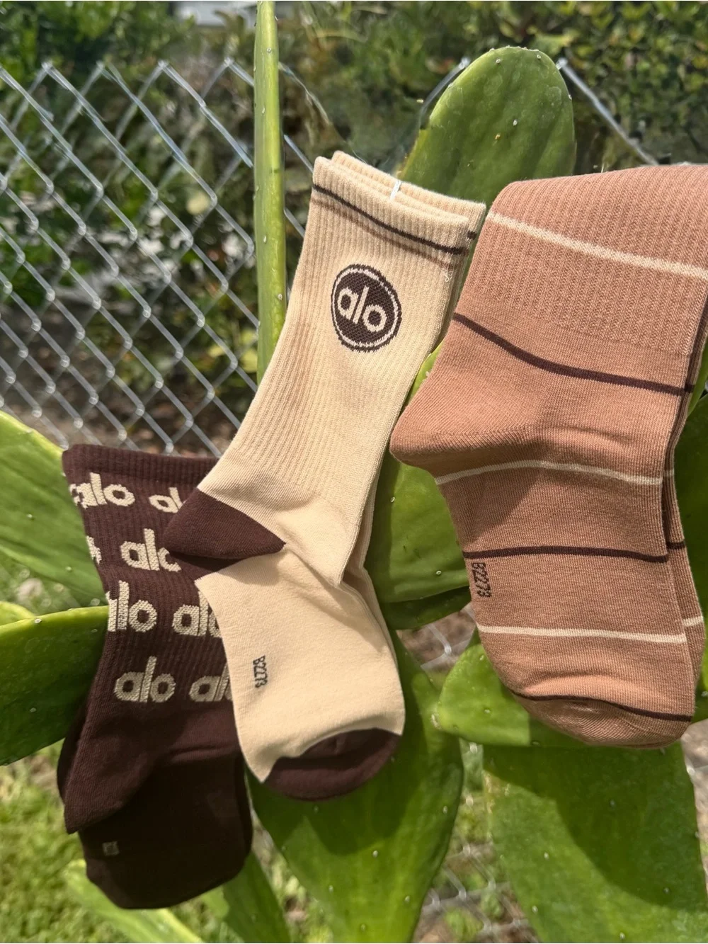 ALO Yoga 3-Pack Crew Socks in Beige, Brown, Tan